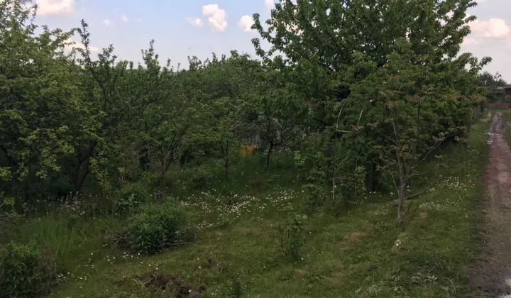 Działka rod Gdańsk Siedlce, ul. Nowolipie