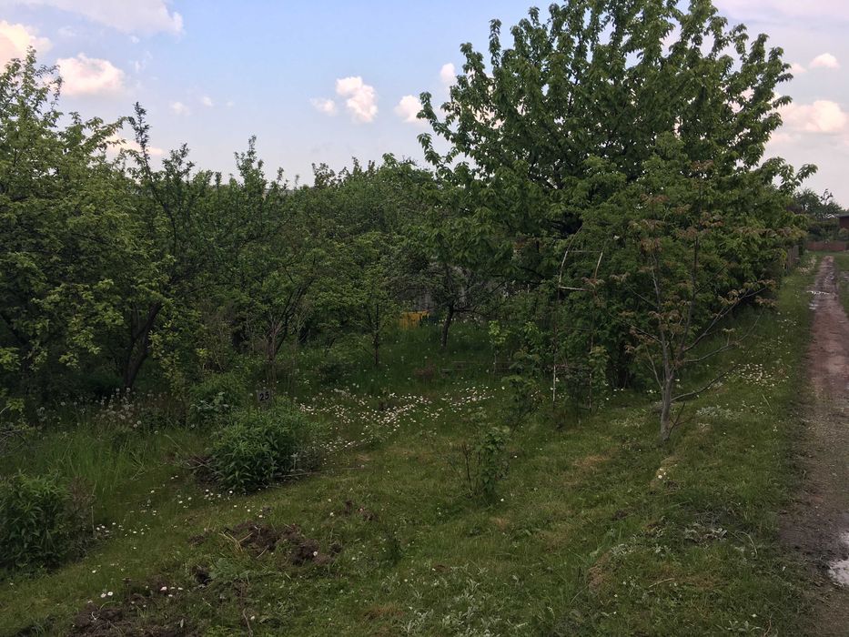 Działka rod Gdańsk Siedlce, ul. Nowolipie. Zdjęcie 1