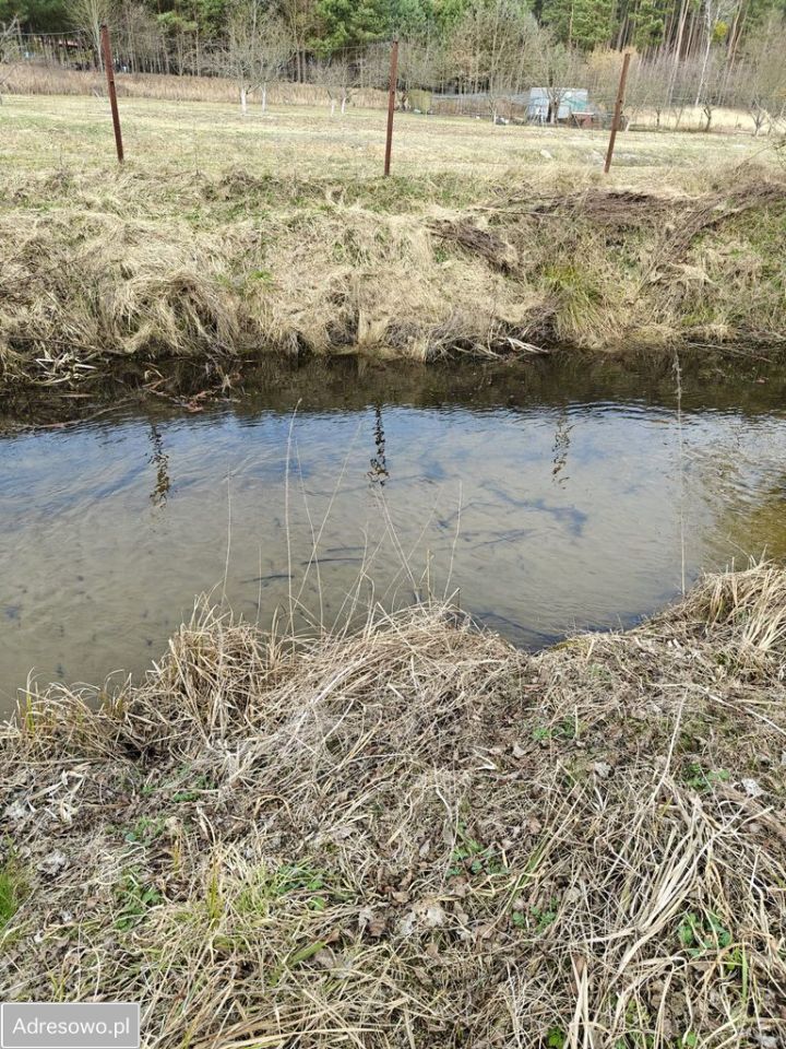 Działka rolna Górnica. Zdjęcie 7