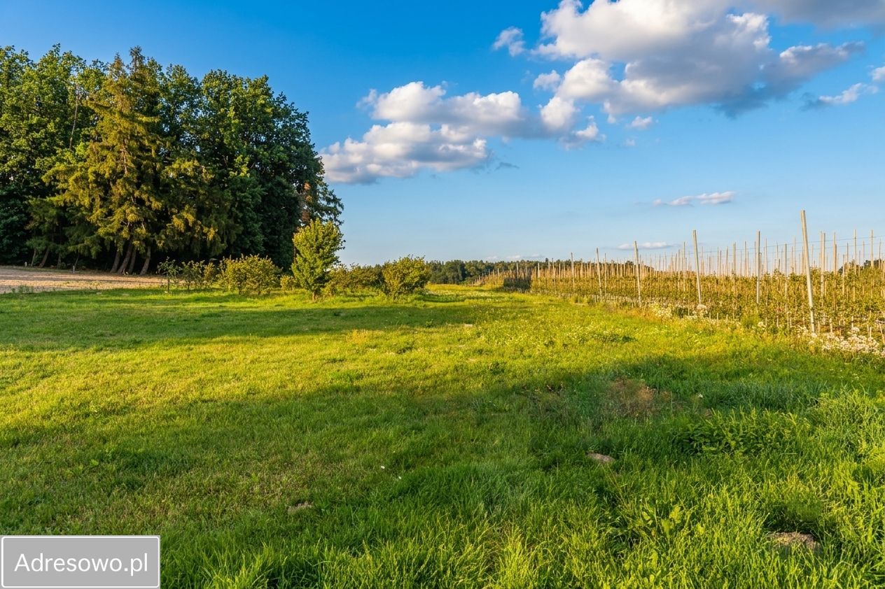 dom, 8 pokoi Grotów. Zdjęcie 20