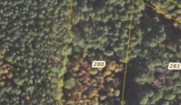 Działka leśna Mąkoszyce