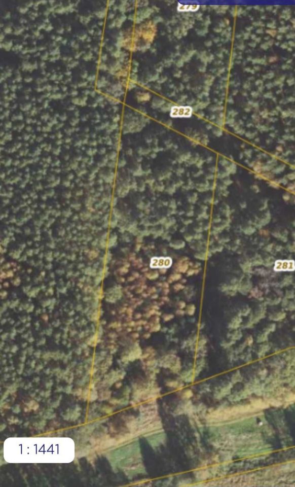 Działka leśna Mąkoszyce. Zdjęcie 2