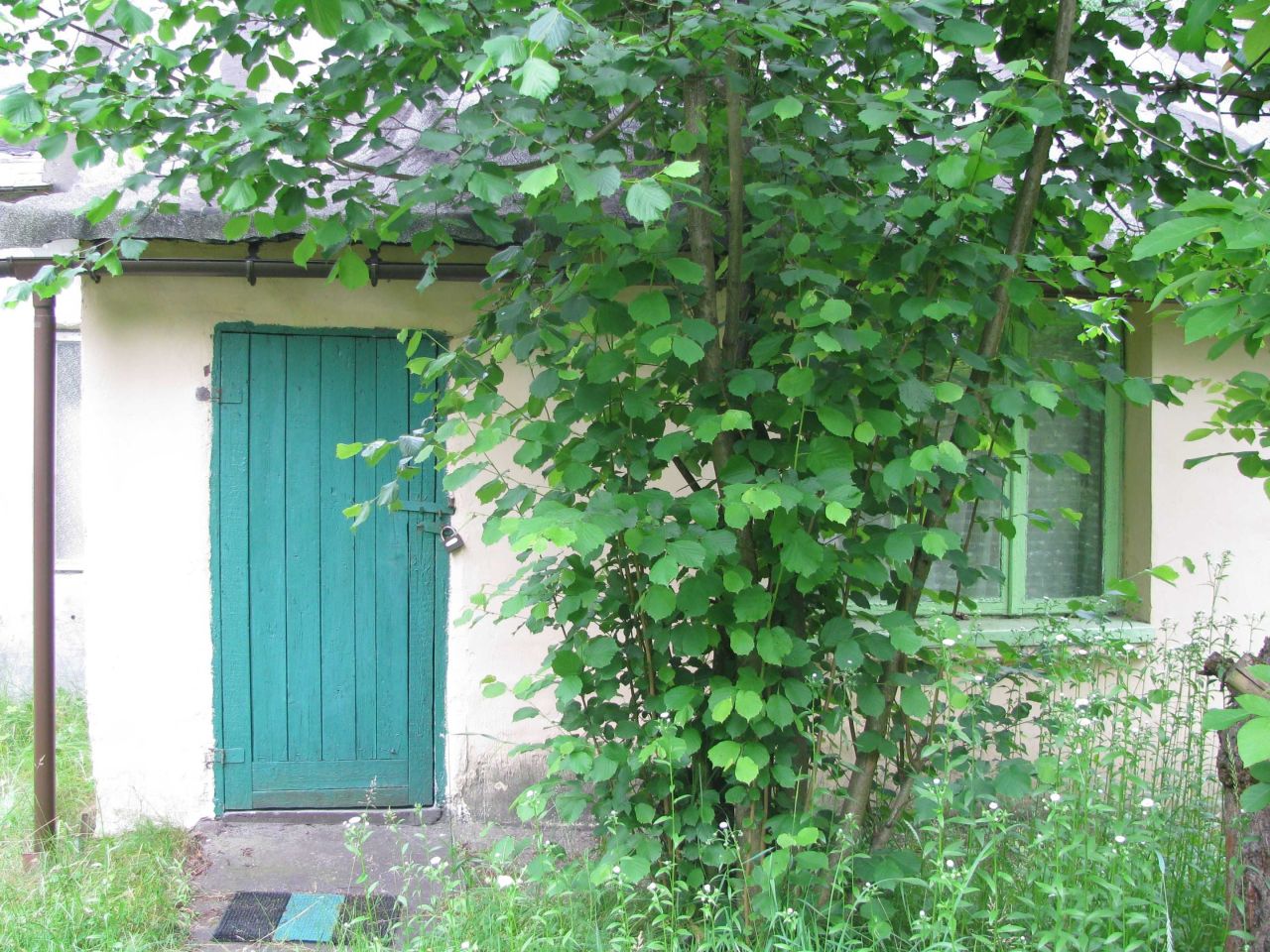 Działka budowlana Michałów-Reginów. Zdjęcie 2