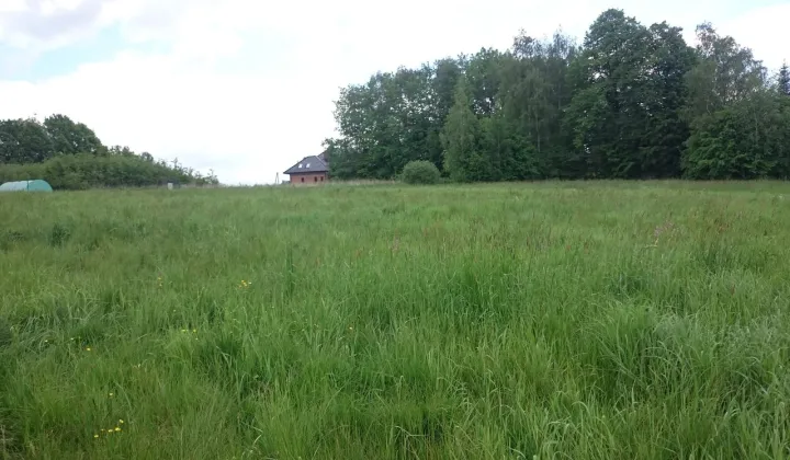 Działka budowlana Siepraw, ul. Długa