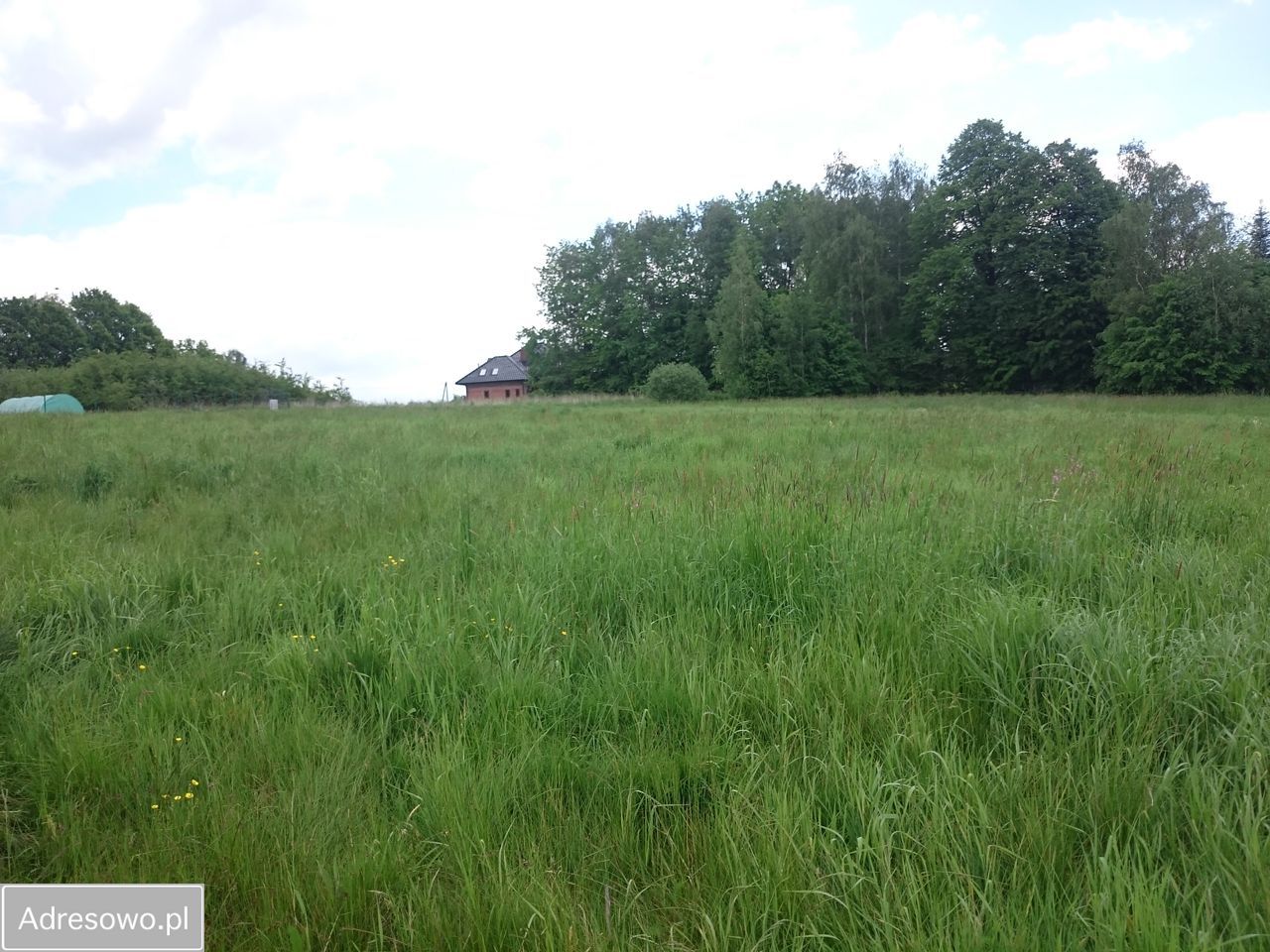 Działka budowlana Siepraw, ul. Długa