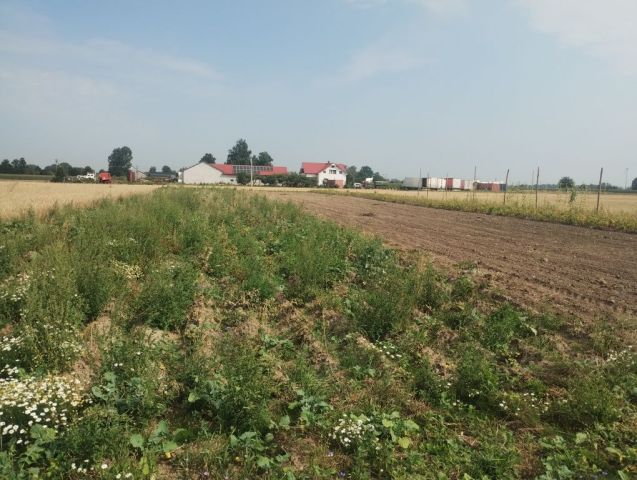 Działka budowlana Wola Miedniewska. Zdjęcie 1