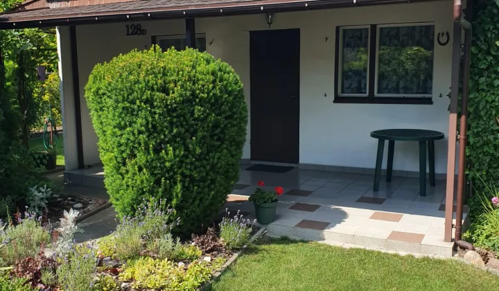 Działka rod Koninko, ul. Porzeczkowa