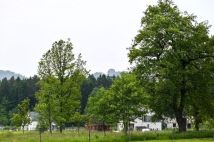 Działka budowlana Janowice Wielkie, ul. Polna. Zdjęcie 3