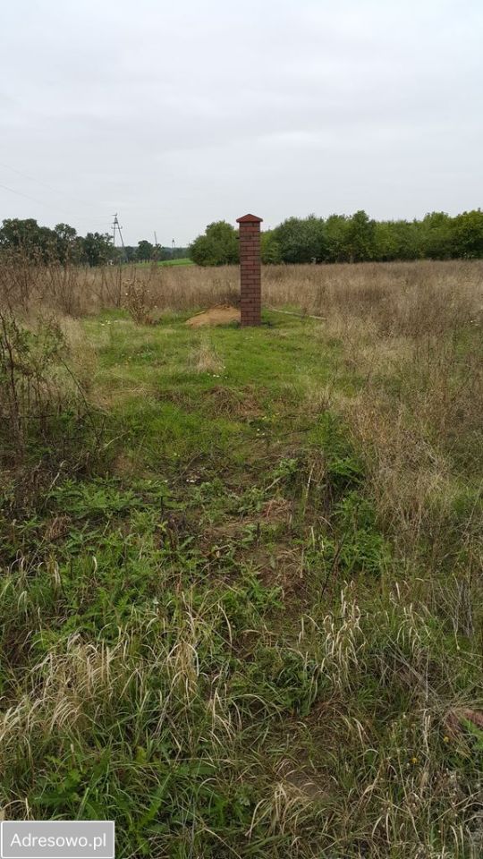 Działka budowlana Drzewianowo. Zdjęcie 3