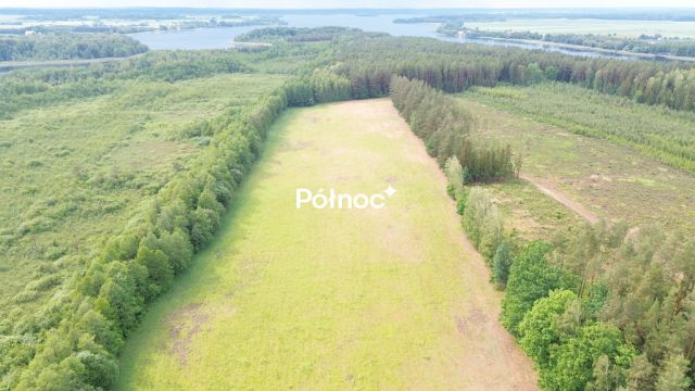 Działka leśna Makosieje. Zdjęcie 8