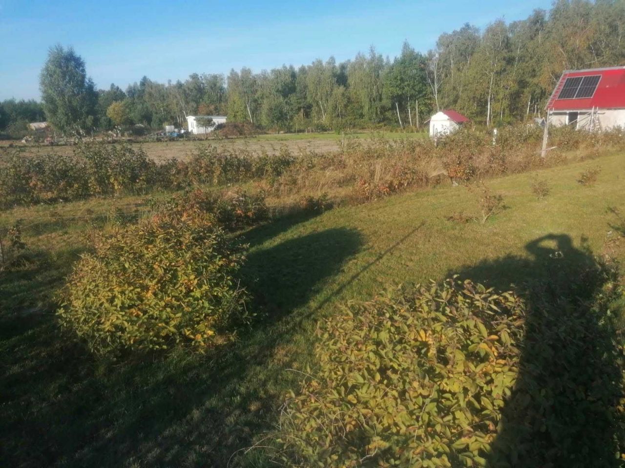 Działka rolno-budowlana Wilamy. Zdjęcie 6