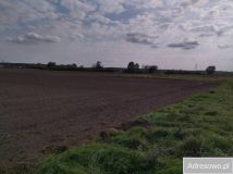 Działka budowlana Prochowice, ul. Wrocławska. Zdjęcie 4