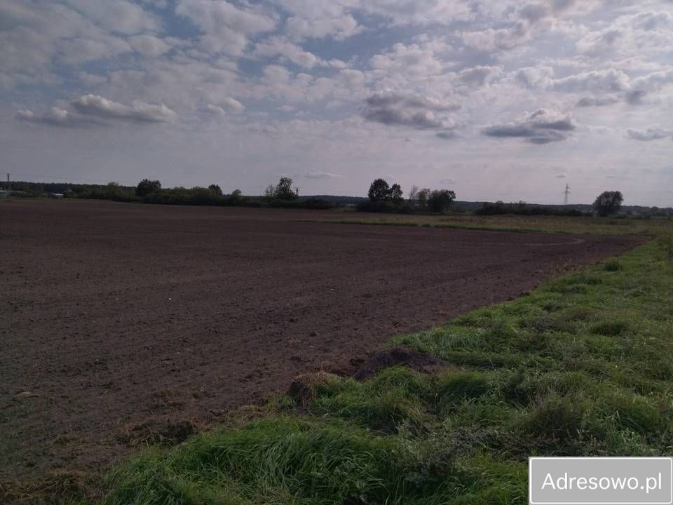 Działka budowlana Prochowice, ul. Wrocławska. Zdjęcie 5