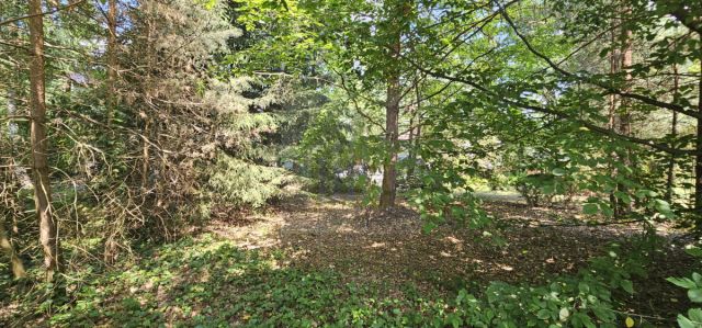 Działka inwestycyjna Magdalenka. Zdjęcie 3