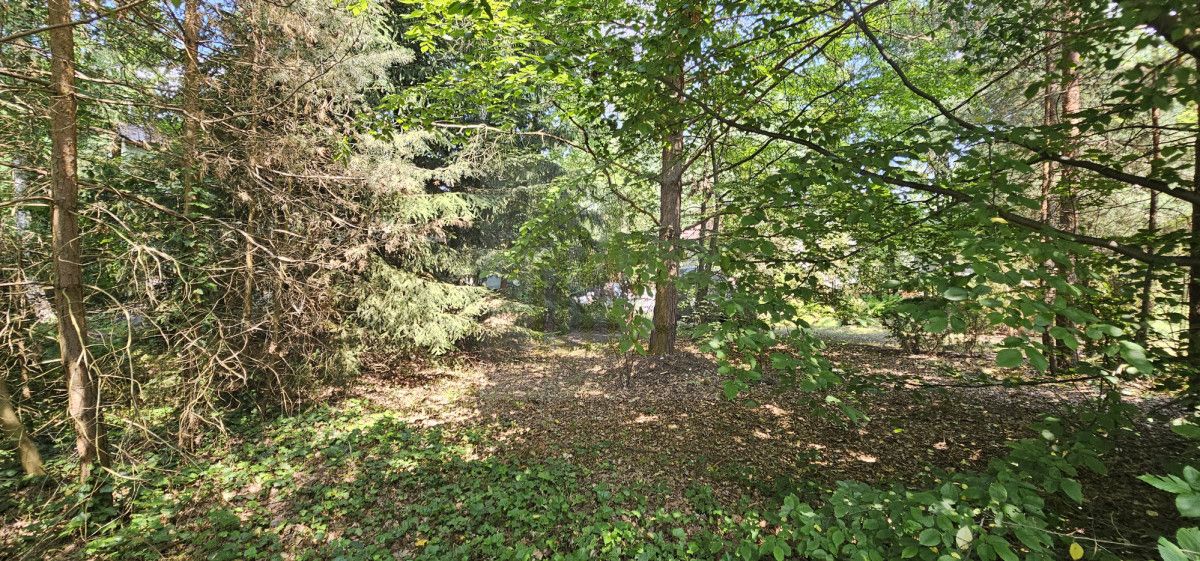 Działka inwestycyjna Magdalenka. Zdjęcie 3