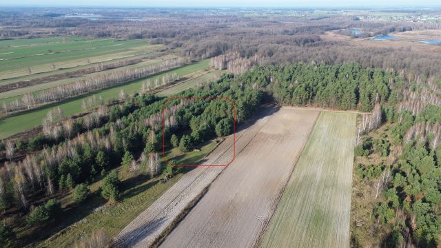 Działka rolno-budowlana Nowa Dąbrówka. Zdjęcie 1