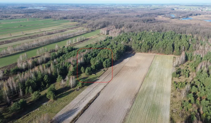 Działka rolno-budowlana Nowa Dąbrówka