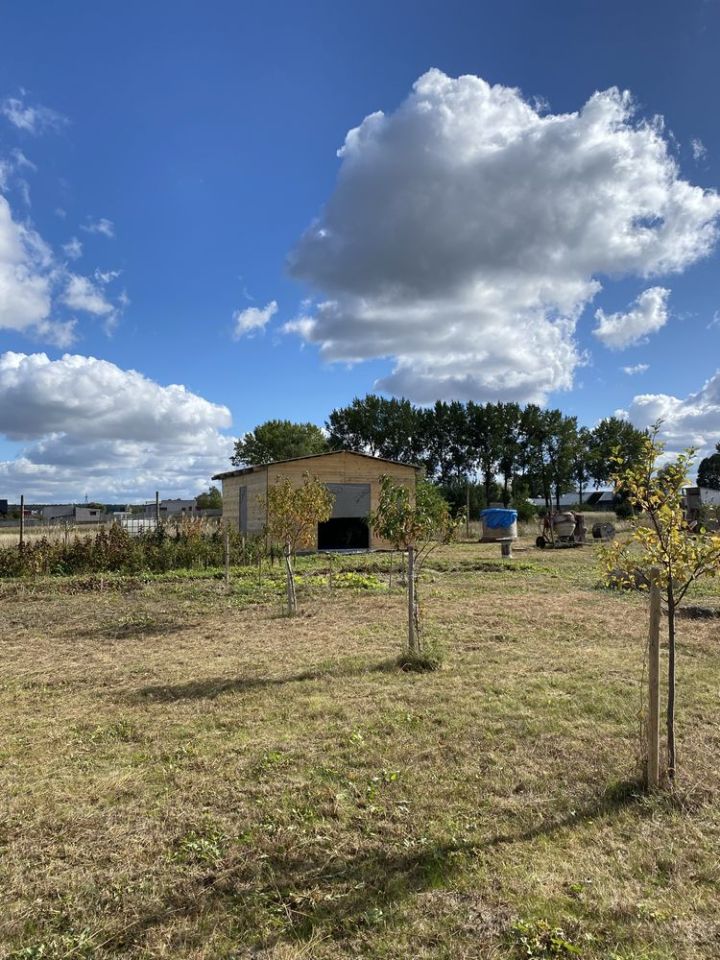 Działka budowlana Perzyce