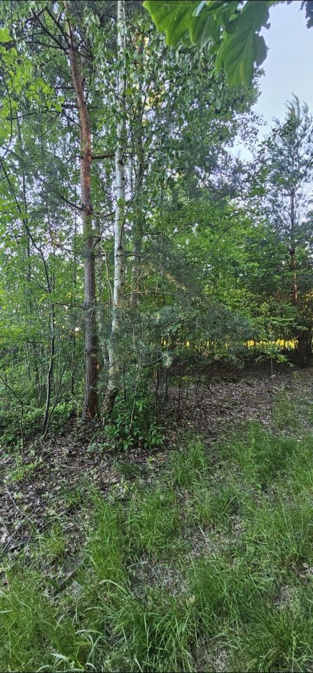 Działka budowlana Konstancin-Jeziorna. Zdjęcie 4