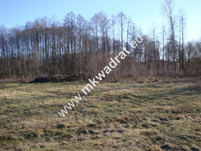 Działka budowlana Słubica B. Zdjęcie 5