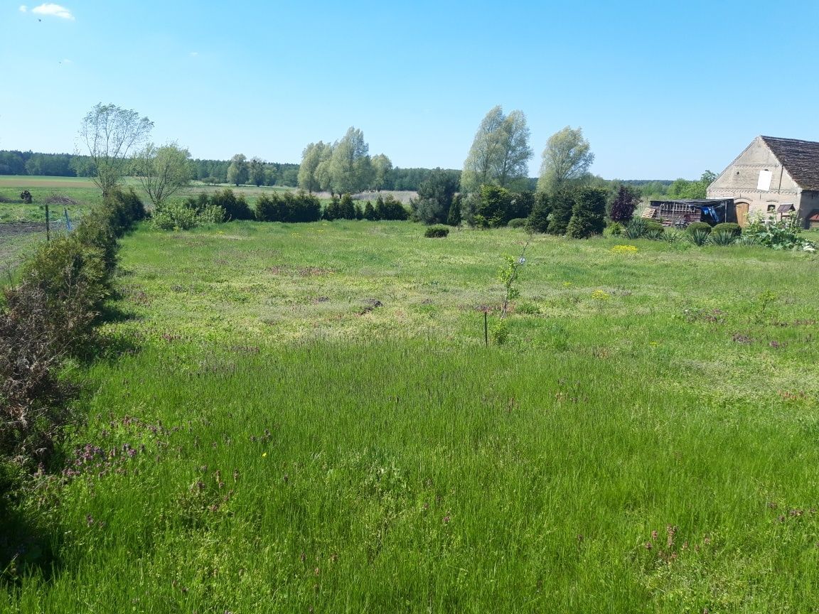 Działka rolno-budowlana Staw. Zdjęcie 5