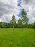 Działka budowlana Nowe Wągrodno, ul. Wschodnia
