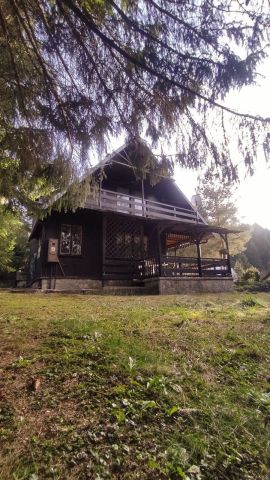 dom letniskowy Krasice. Zdjęcie 1