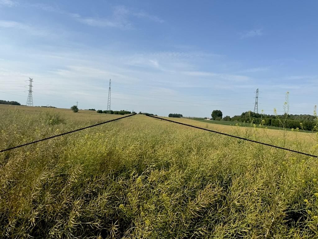 Działka rolno-budowlana Witaniów. Zdjęcie 9