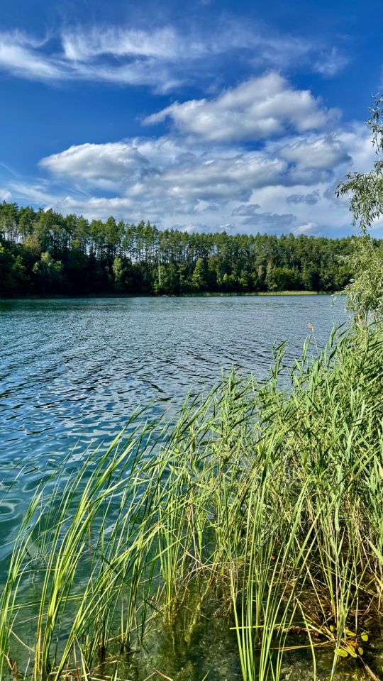 Działka rekreacyjna Dłusko. Zdjęcie 6