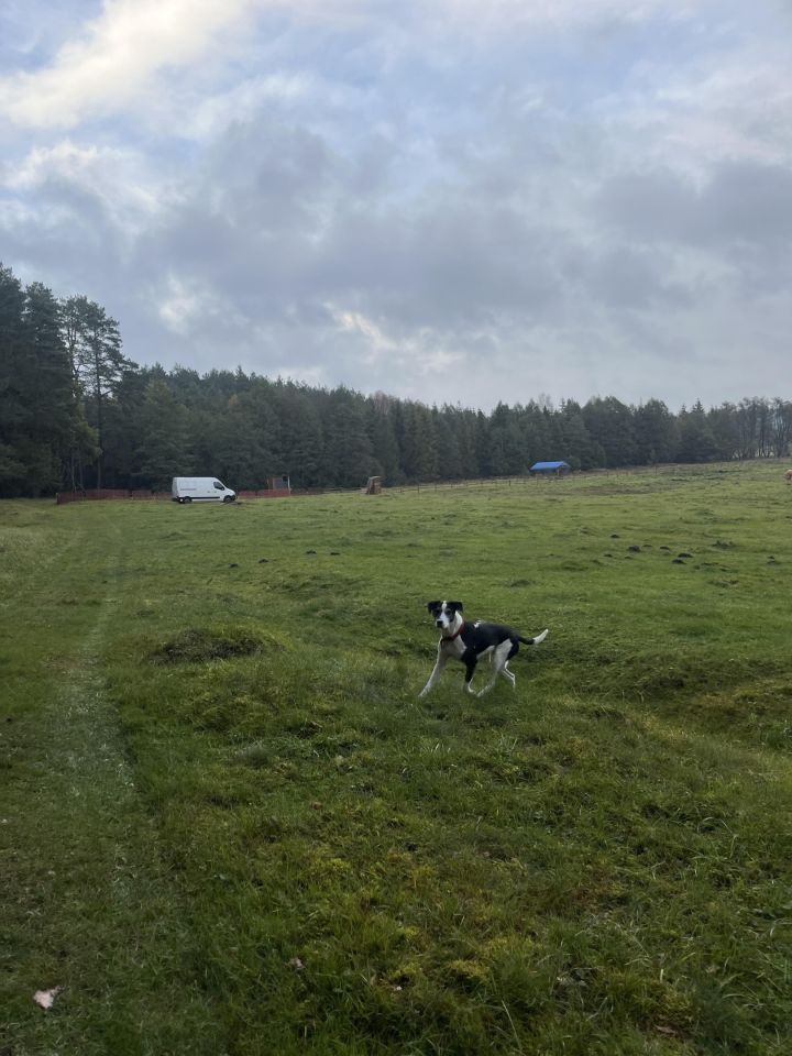 Działka rolna Otnoga Dęby. Zdjęcie 2