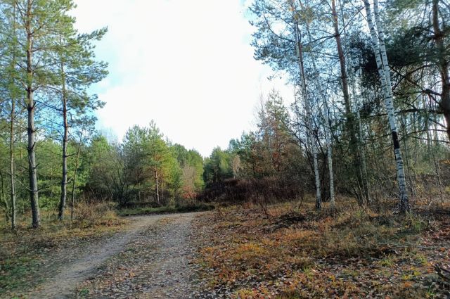 Działka rod Białystok Bagnówka, ul. Krzysztofa Pendereckiego. Zdjęcie 1