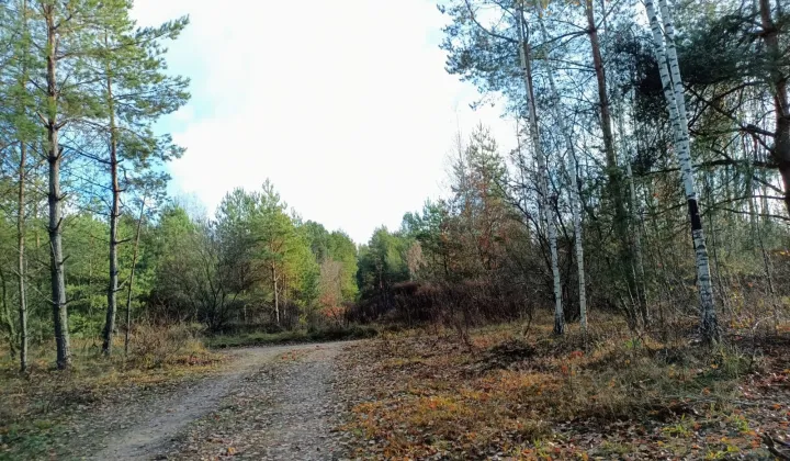 Działka rod Białystok Bagnówka, ul. Krzysztofa Pendereckiego