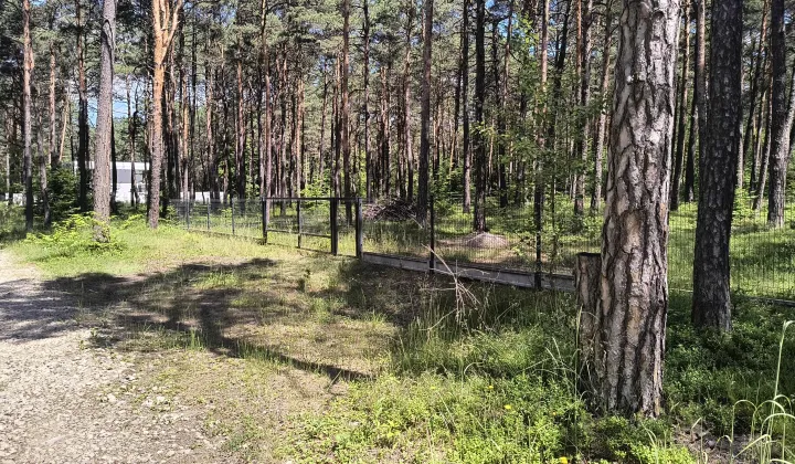 Działka budowlana Ogrodzieniec, ul. Centuria