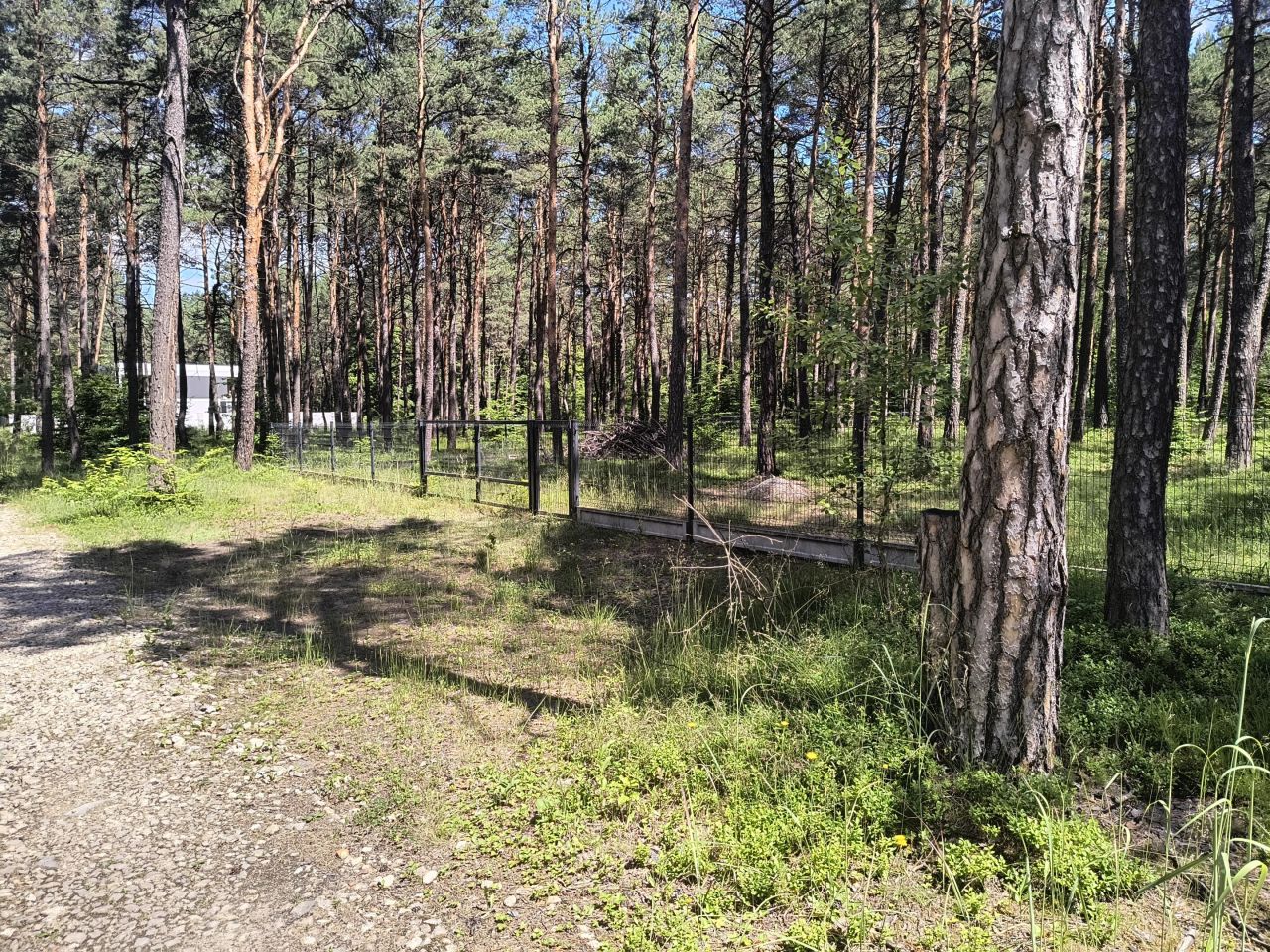 Działka budowlana Ogrodzieniec, ul. Centuria. Zdjęcie 3