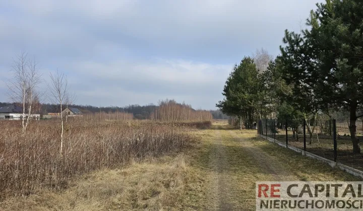 Działka siedliskowa Lipków