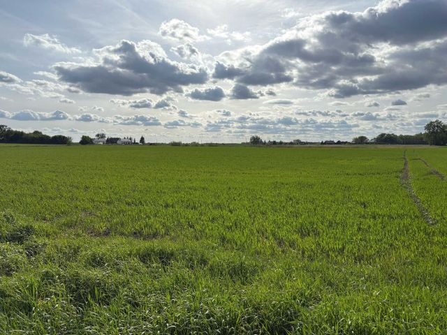 Działka budowlana Jabłkowo. Zdjęcie 1