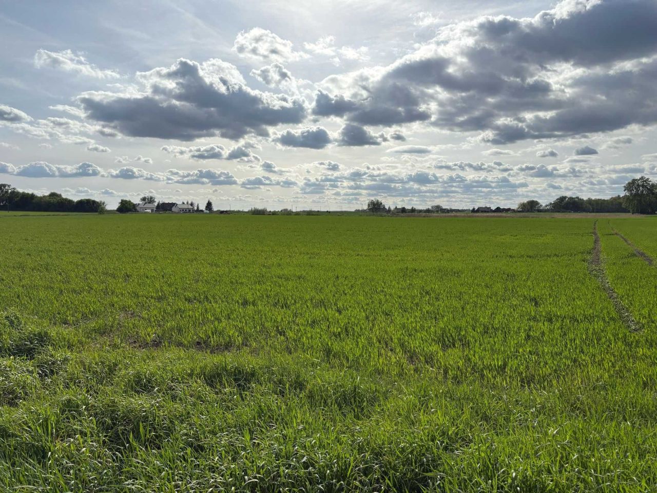 Działka budowlana Jabłkowo