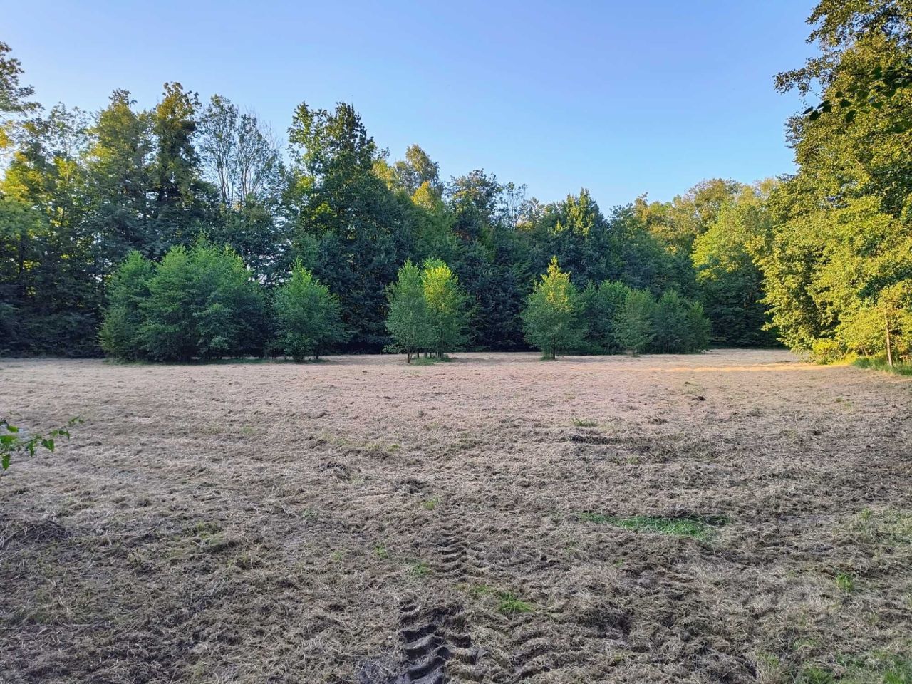 Działka rolna Witkowice. Zdjęcie 4