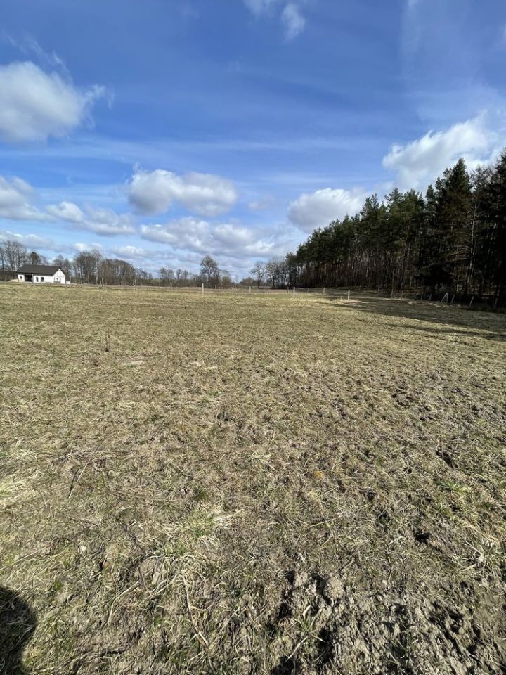 Działka budowlana Kabikiejmy Dolne. Zdjęcie 4