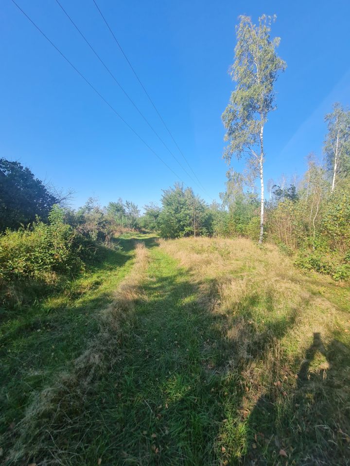 Działka rolno-budowlana Sworzyce. Zdjęcie 2