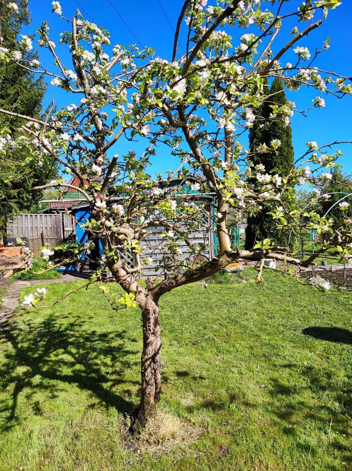 Działka rod Olecko. Zdjęcie 2