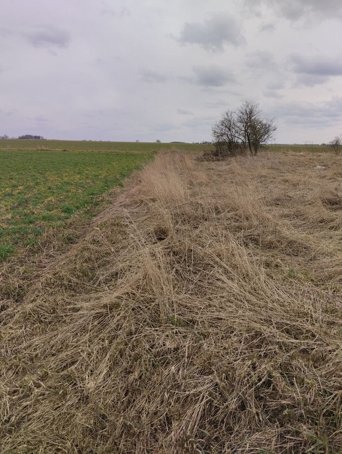 Działka inwestycyjna Ligota Dolna. Zdjęcie 13