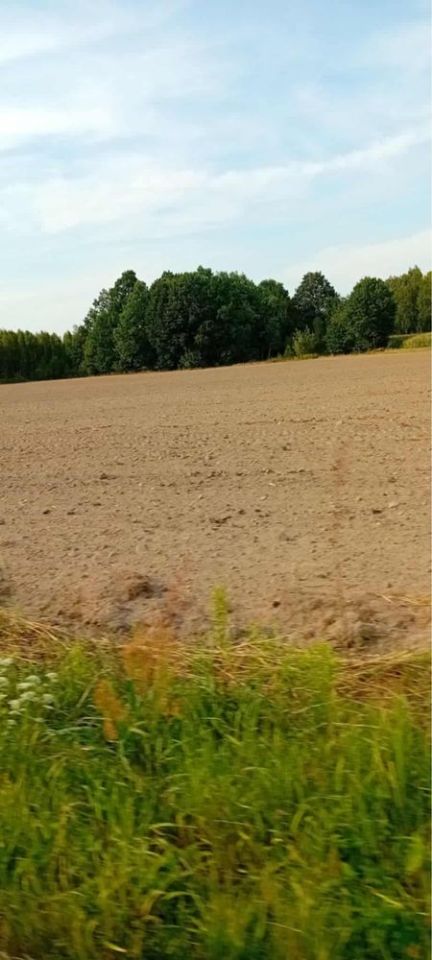 Działka rolno-budowlana Nowa Wieś. Zdjęcie 5