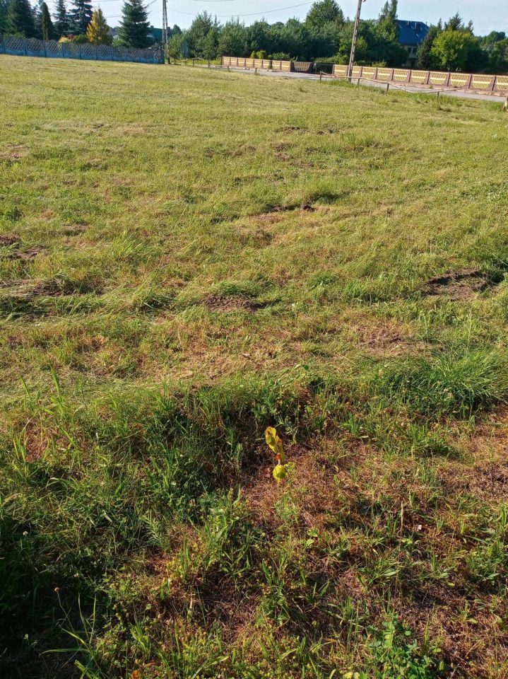 Działka budowlana Morawica, ul. Szkolna. Zdjęcie 8