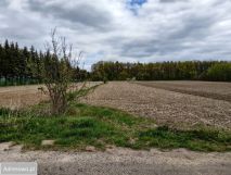 Działka budowlana Świętosławice. Zdjęcie 3