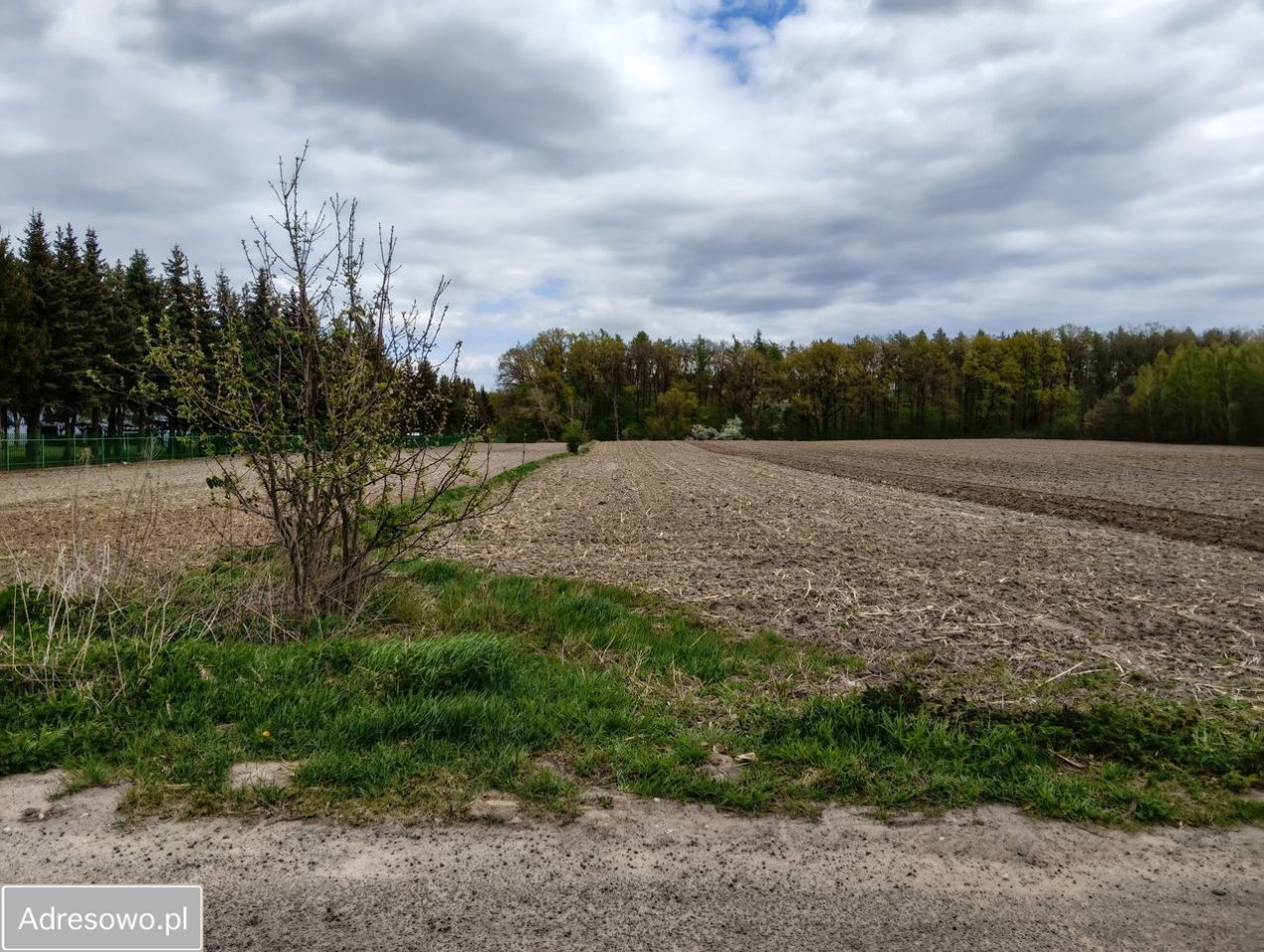Działka budowlana Świętosławice. Zdjęcie 4