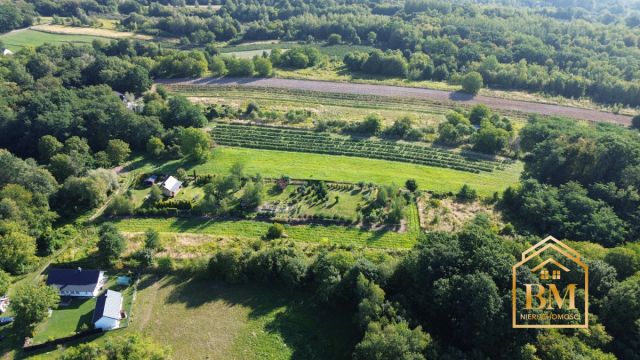 Działka siedliskowa Kazimierz Dolny, Góry. Zdjęcie 8