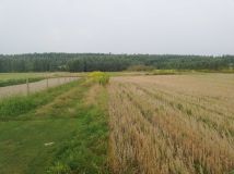 Działka rolna Przecieszyn. Zdjęcie 2