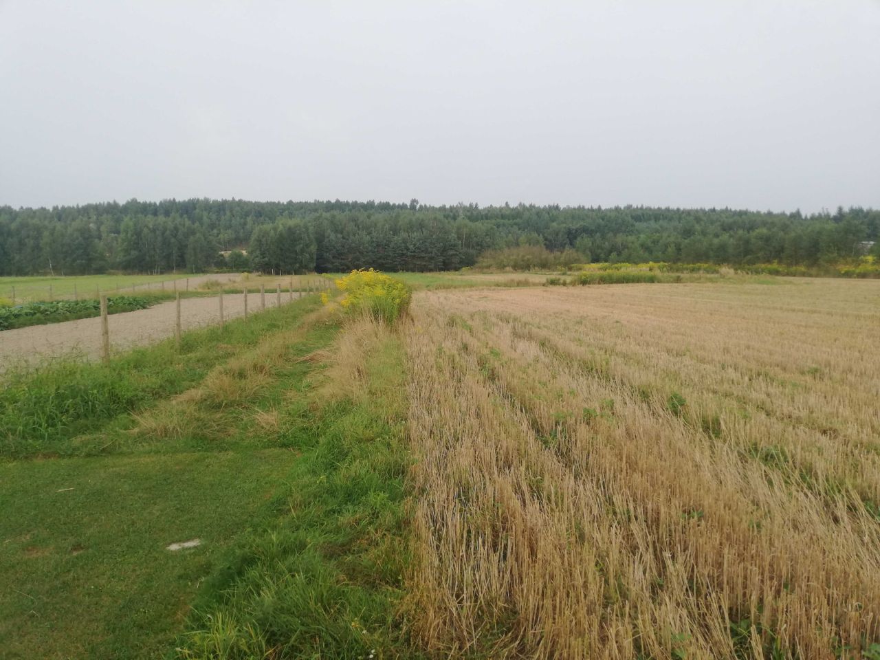 Działka rolna Przecieszyn. Zdjęcie 3