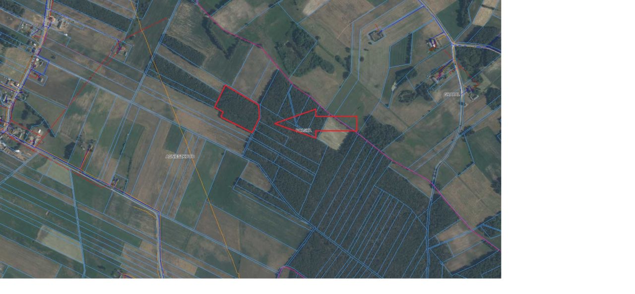 Działka leśna Agnieszkowo. Zdjęcie 2